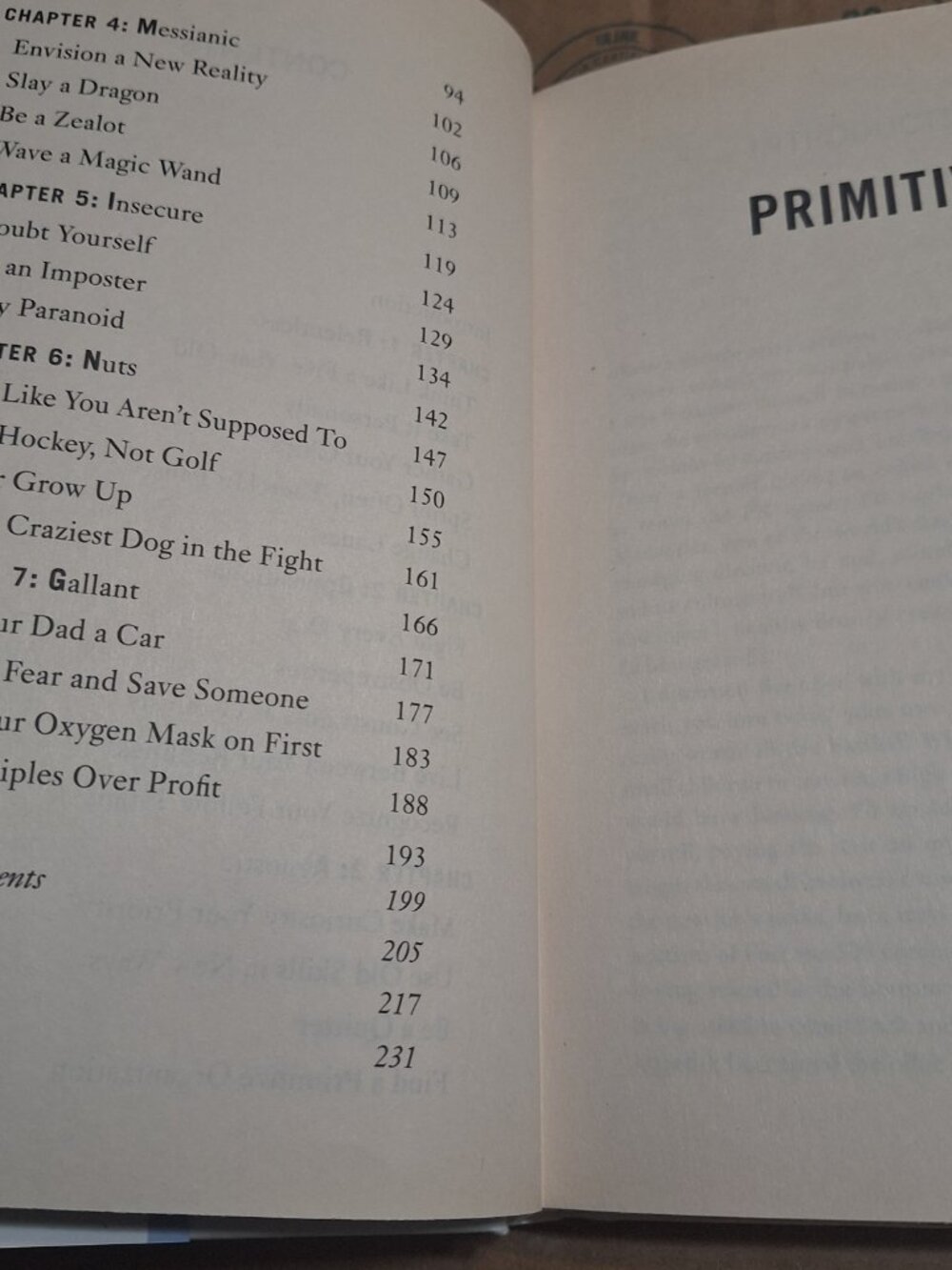 primitive - Picture 6 of 7